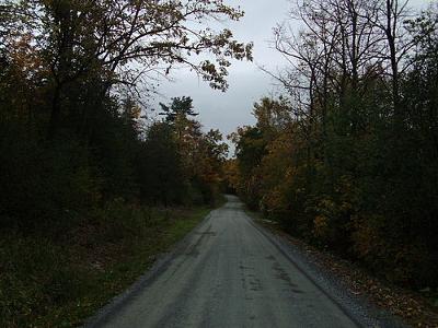 Snake Mountain Road<br> Weybridge, Vermont