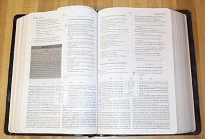 Study Bibles have helpful notes and info
