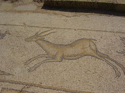 Ancient gazelle mosaic<br class=