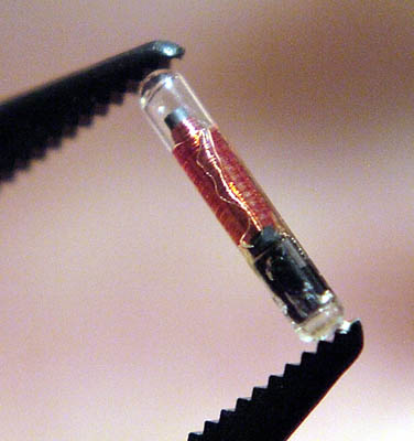 Could the mark be a verichip?