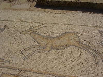 Ancient gazelle mosaic<br> Caesarea, Israel